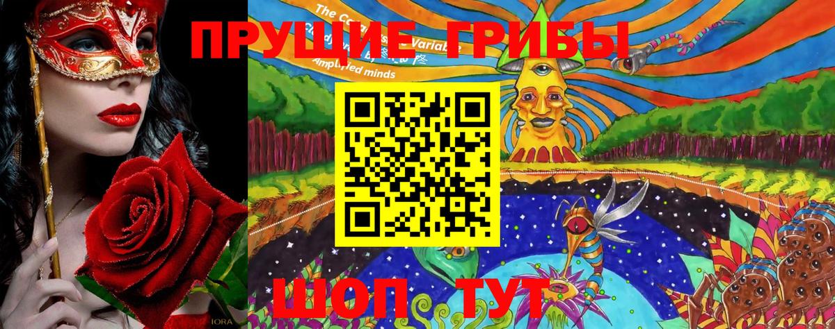 Нововоронеж  Галлюциногенные грибы MAGIC MUSHROOMS  Псилоцибиновые грибы Magic Shrooms  закладка  Вход с VPN 